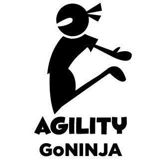 AGILITY_solid-1.5x1.5 (1)